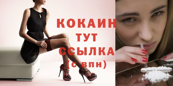 твердый Абаза