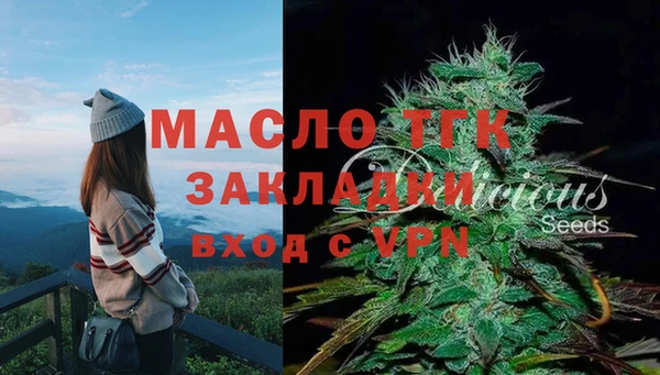 твердый Абаза