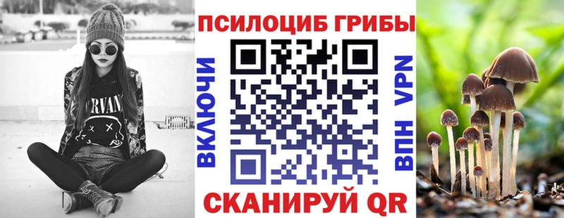 как найти   Невельск  Псилоцибиновые грибы Psilocybe 